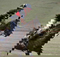 Wirragulla Annual Polo Tournament - Accommodation in Bendigo