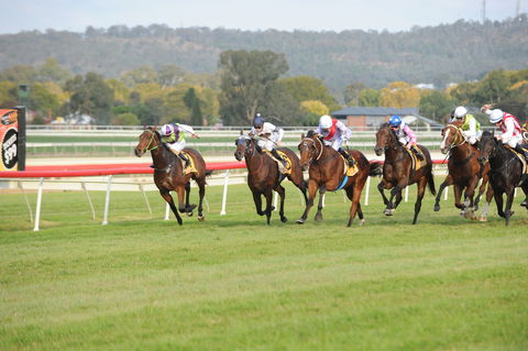 Aggies Race Day - Accommodation in Bendigo 0