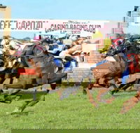 Casino Cup - Accommodation in Bendigo