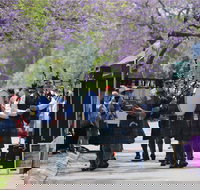 Celtic Festival of Queensland - Accommodation in Bendigo