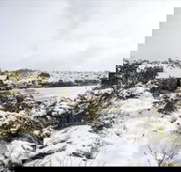 Christmas in July at Cradle Mountain Hotel 2020 - Accommodation in Bendigo