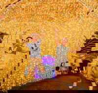 Christmas Lights Spectacular New Year's Eve at Hunter Valley Gardens - Accommodation in Bendigo
