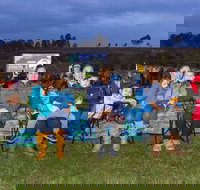 Cinema Under The Stars - Accommodation in Bendigo