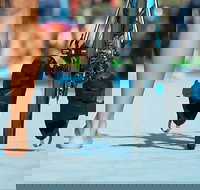 Gold Coast Triathlon Training - Accommodation in Bendigo