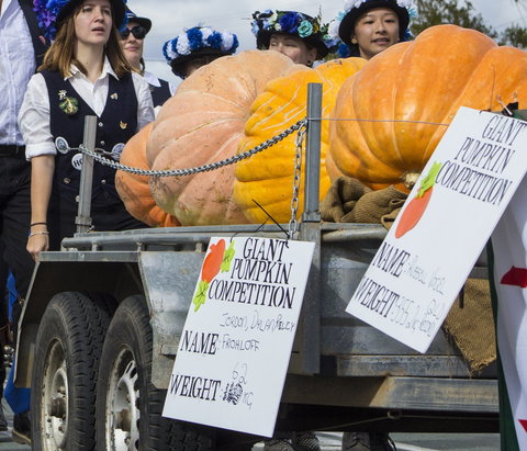 Goomeri Pumpkin Festival - Accommodation in Bendigo 2