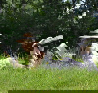 High Country Writers Festival - Accommodation in Bendigo