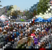 Hunter Valley Caravan Camping 4WD Fish and Boat Show - Accommodation in Bendigo
