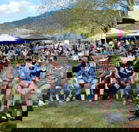 Jamming at Jingellic