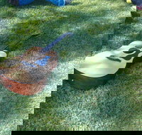 Rosewood Country Round Up Music Festival - Accommodation in Bendigo