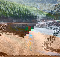 SEVEN - Australia's Premier Gravel Race - Accommodation in Bendigo