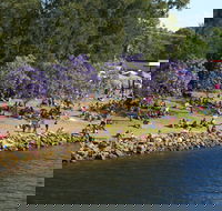 Shoalhaven River Festival - Accommodation in Bendigo