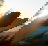 The Truffle Festival - Canberra Region - Accommodation in Bendigo