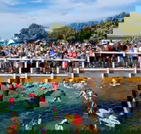 The Crescent Head Santa Surf - Accommodation in Bendigo
