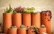 Tumbarumba Spring Flower Festival - thumb 0