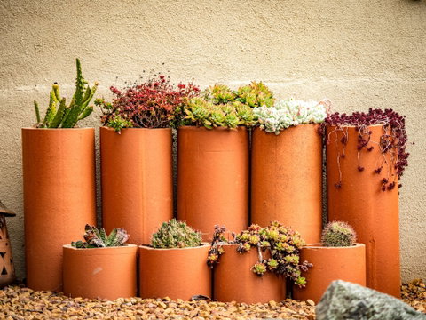 Tumbarumba Spring Flower Festival - Accommodation in Bendigo 0