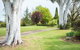 Tumbarumba Spring Flower Festival - thumb 2