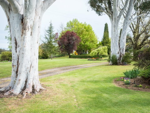 Tumbarumba Spring Flower Festival - Accommodation in Bendigo 2