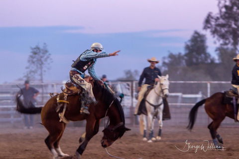 Walgett Charity Bushman's Carnival Rodeo And Campdraft - Accommodation in Bendigo 1