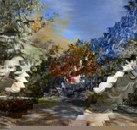 Zoorassic at Werribee Open Range Zoo. - Accommodation in Bendigo