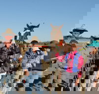 Annual Prairie Races - Accommodation in Bendigo