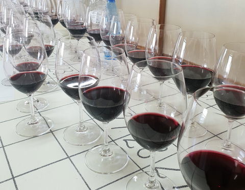 Australian Cool Climate Wine Show - Accommodation in Bendigo 1