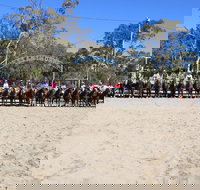 Australian Campdraft Association National Finals Campdraft 2021 - Accommodation in Bendigo
