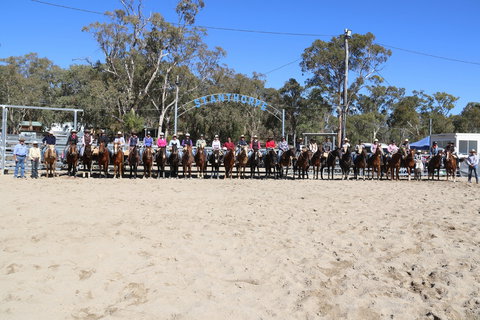 Australian Campdraft Association National Finals Campdraft 2021 - Accommodation in Bendigo 0