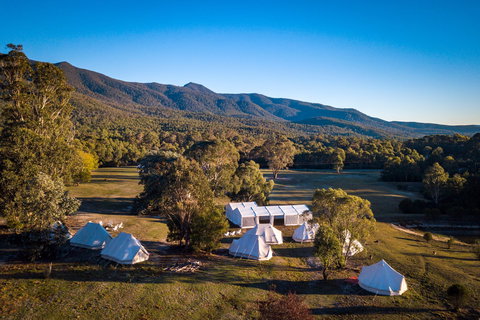 A Wild Night Out - Spring - Accommodation in Bendigo 5