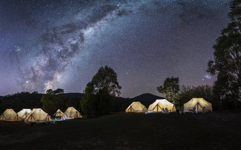 A Wild Night Out - Spring - Accommodation in Bendigo 6