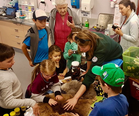 A Wild Night Out - Spring - Accommodation in Bendigo 7