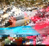 Beach House Hotel Hervey Bay 100 - Accommodation in Bendigo