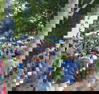 Bellingen Community Markets - Accommodation in Bendigo