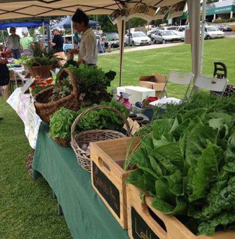 Bermagui Growers Market - Accommodation in Bendigo 5