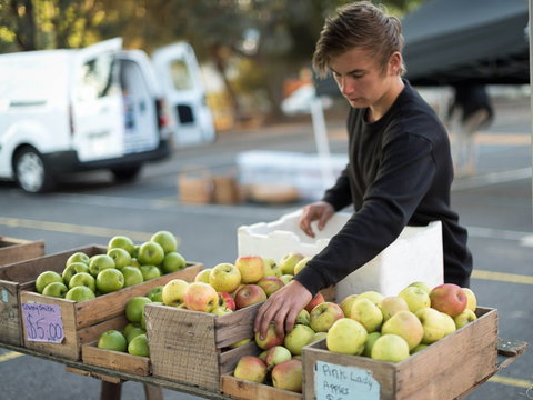 Carlton Farmers' Market - Accommodation in Bendigo 0