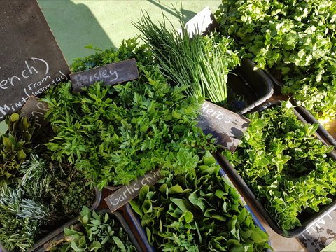 Carlton Farmers' Market - Accommodation in Bendigo 2