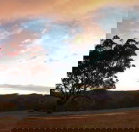 Christmas in July Jumpers and Jazz - Accommodation in Bendigo