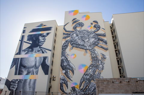 Darwin Street Art Festival - Accommodation in Bendigo 2