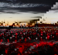 Field of Light Uluru - Accommodation in Bendigo