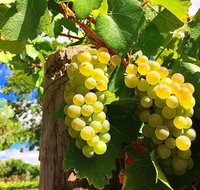 GetawaysSA Bringing Barossa To Your Door - Accommodation in Bendigo