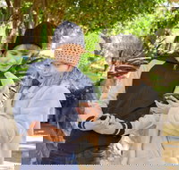 Hunter Valley Gardens Virtual Treasure Trail - Accommodation in Bendigo