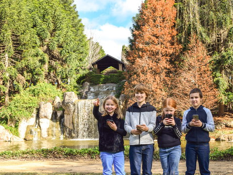 Hunter Valley Gardens Virtual Treasure Trail - Accommodation in Bendigo 1