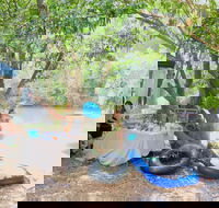 Jungle Love Festival - Accommodation in Bendigo