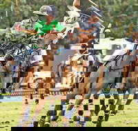 Land Rover Polo in the City