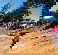 Maleny Wood Expo From Seed to Fine Furniture - Accommodation in Bendigo