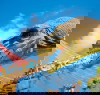 Mega Creatures at Hunter Valley Gardens - Postponed - Accommodation in Bendigo