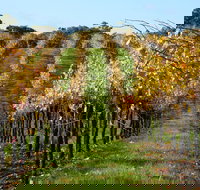 Miners Ridge Wine Tasting - Accommodation in Bendigo