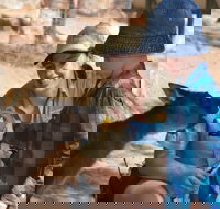 Mums and Cubs And Dads too - Accommodation in Bendigo