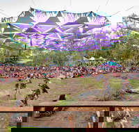 Mushroom Valley Festival - Accommodation in Bendigo