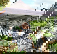 Nan Tien Health and Wellbeing Market - Accommodation in Bendigo