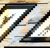 Pen  Ink Illustration Workshop - Accommodation in Bendigo